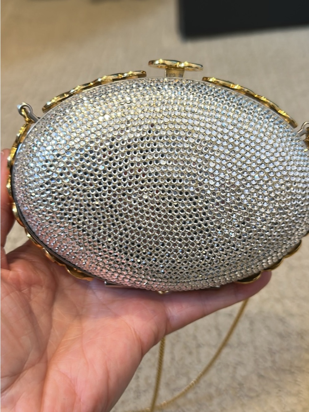 Silver Crystal Oval Evening Clutch with Gold Accents